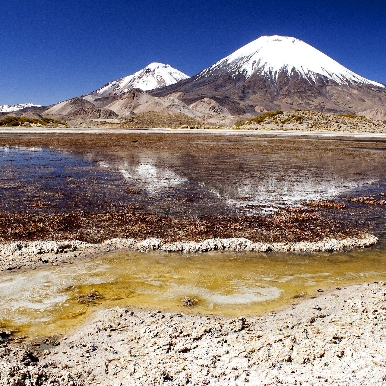 19. Chili Noord - Atacama. Meer van Chungara